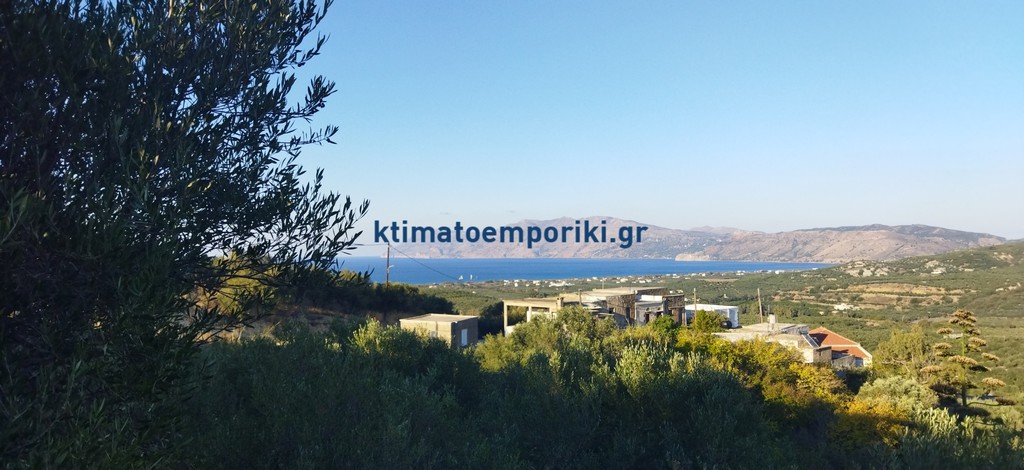 Οικόπεδο 1.619,19 τ.μ. προς πώληση, Βαρδιανά