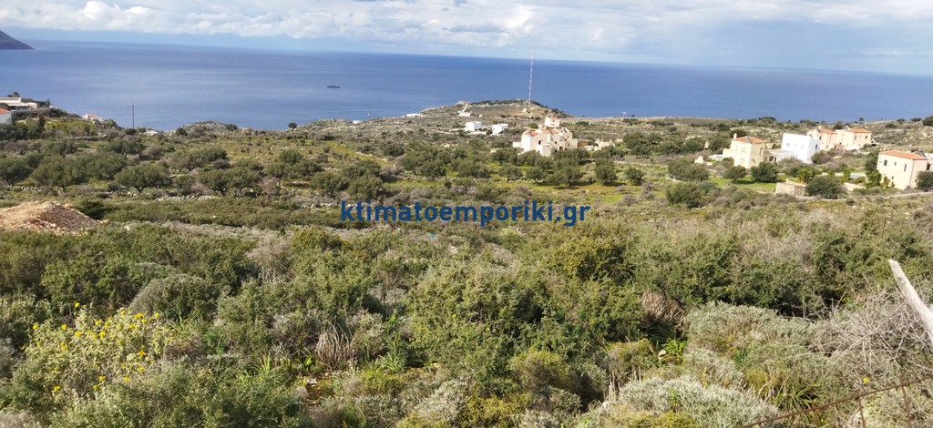 Οικόπεδο 15.618 τ.μ. προς πώληση, Κόκκινο Χωριό