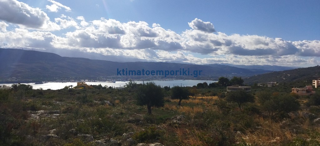 Οικόπεδο 2.544 τ.μ. προς πώληση, Πιθάρι