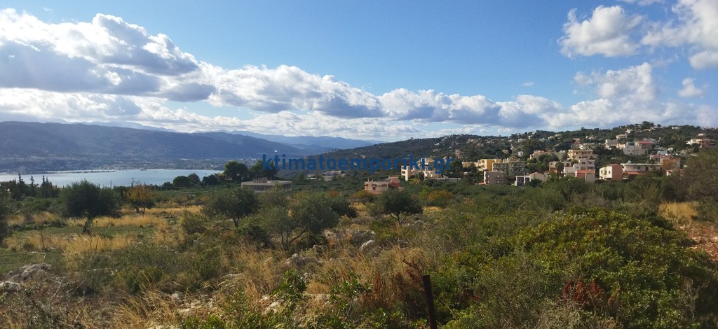 Οικόπεδο 2.544 τ.μ. προς πώληση, Πιθάρι