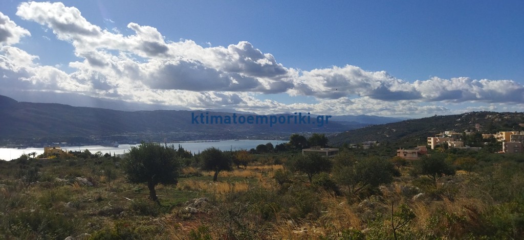 Οικόπεδο 2.544 τ.μ. προς πώληση, Πιθάρι
