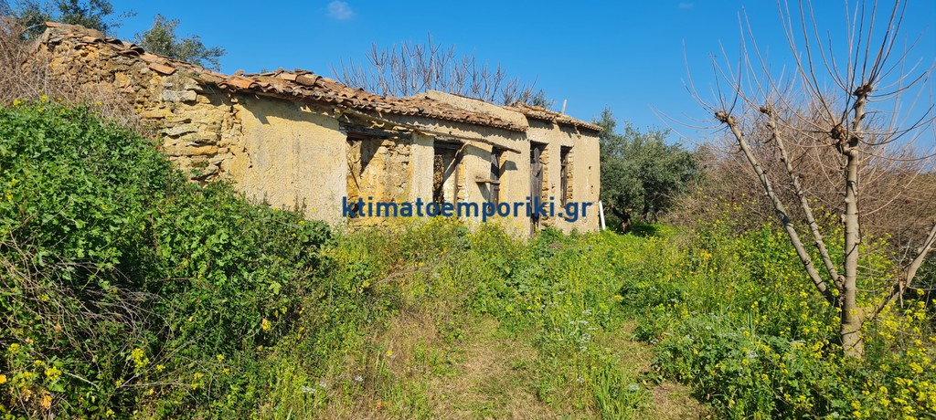 Οικόπεδο 4.500 τ.μ. προς πώληση, Πλατανιάς Χανίων