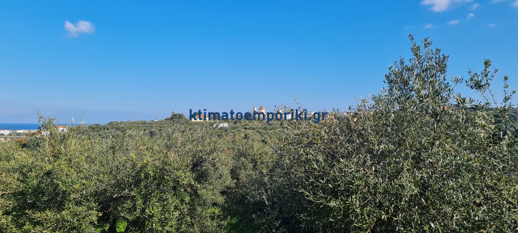 Οικόπεδο 4.500 τ.μ. προς πώληση, Πλατανιάς Χανίων