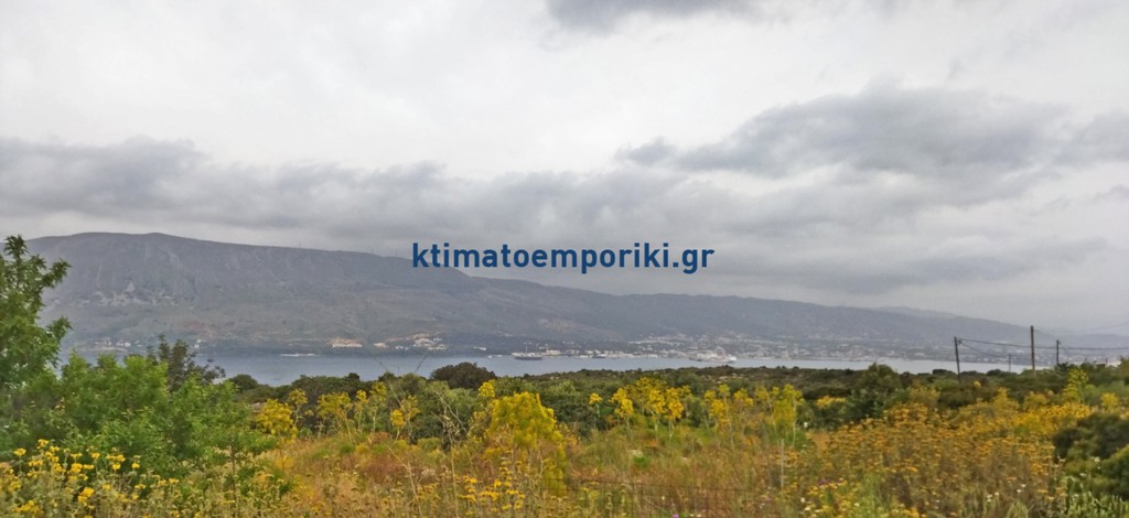 Οικόπεδο 1.600 τ.μ. προς πώληση, Αρώνι