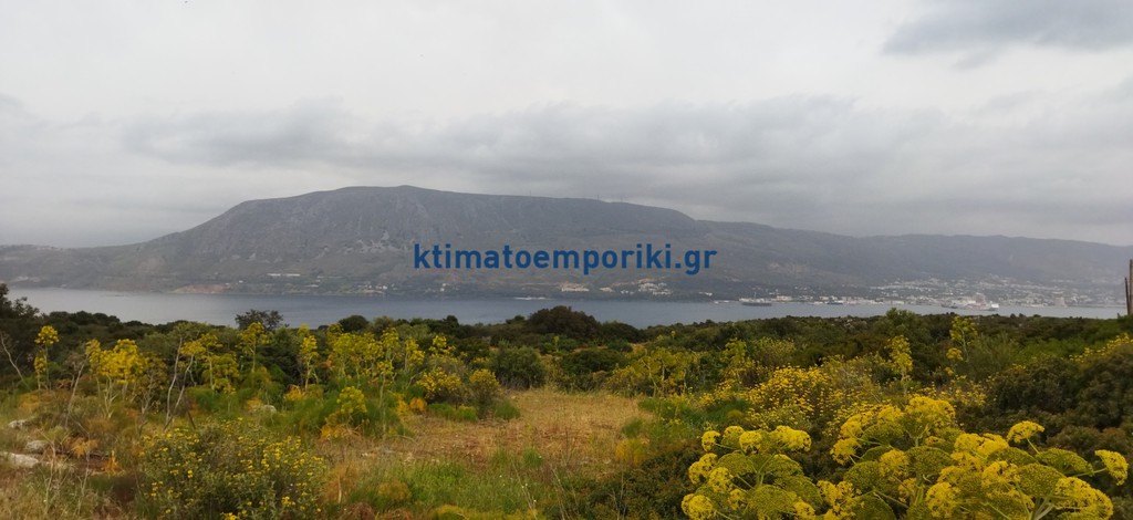 Οικόπεδο 1.600 τ.μ. προς πώληση, Αρώνι