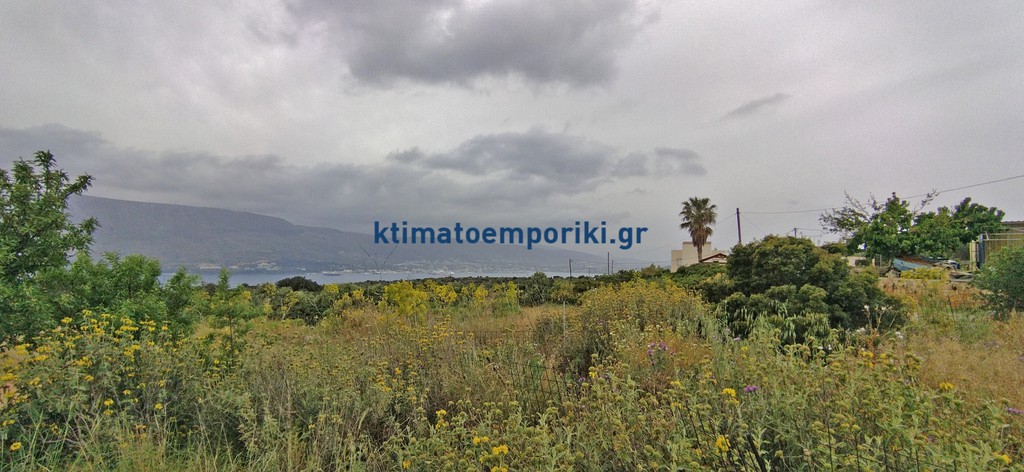 Οικόπεδο 1.600 τ.μ. προς πώληση, Αρώνι