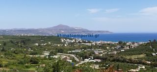 Οικόπεδο 13.000 τ.μ. για πώληση