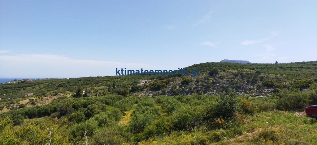 Οικόπεδο 13.000 τ.μ. προς πώληση, Καλύβες Αρμενών