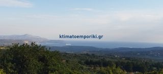 Οικόπεδο 15.000 τ.μ. για πώληση