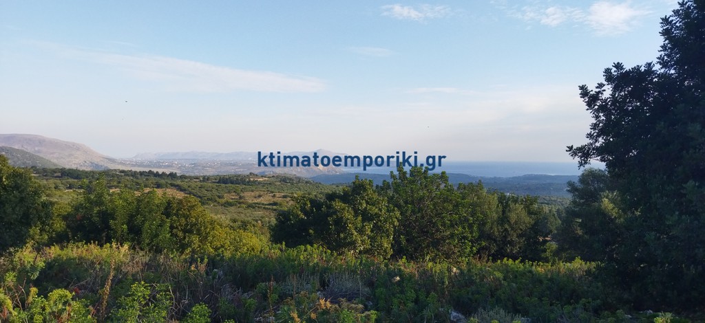 Οικόπεδο 15.000 τ.μ. προς πώληση, Μελιδόνι Φρε