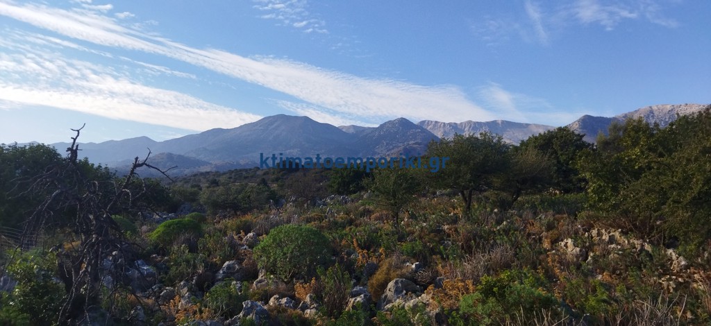 Οικόπεδο 15.000 τ.μ. προς πώληση, Μελιδόνι Φρε