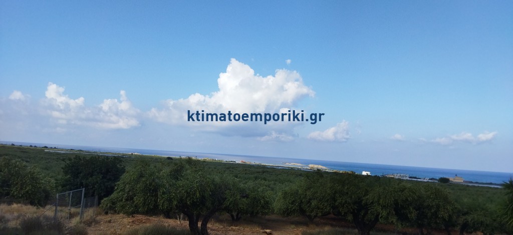 Οικόπεδο 5.771 τ.μ. προς πώληση, Φαλασαρνά