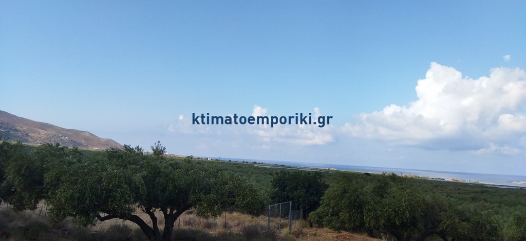 Οικόπεδο 5.771 τ.μ. προς πώληση, Φαλασαρνά