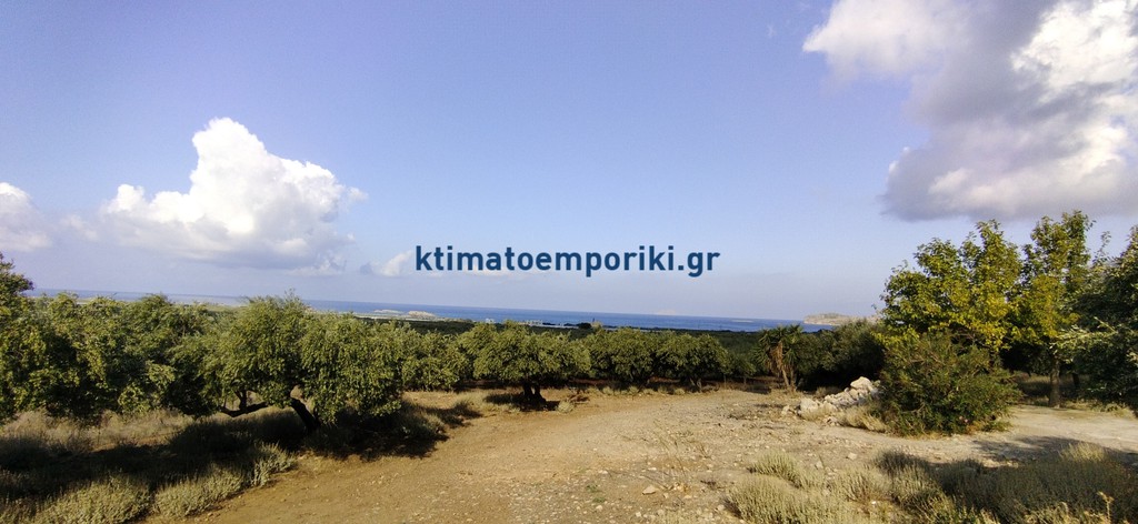 Οικόπεδο 5.771 τ.μ. προς πώληση, Φαλασαρνά