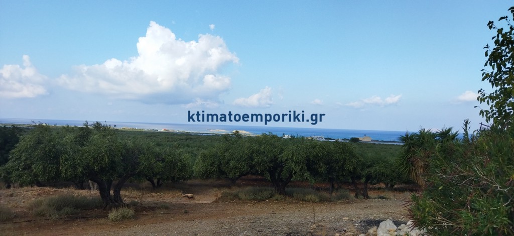 Οικόπεδο 5.771 τ.μ. προς πώληση, Φαλασαρνά