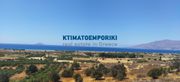 Οικόπεδο 15.250τ.μ. για πώληση-Τυμπάκι