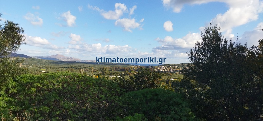 Αγροτεμάχια 17.684,29 τ.μ. προς πώληση, Νέο Χωριό Αρμενών