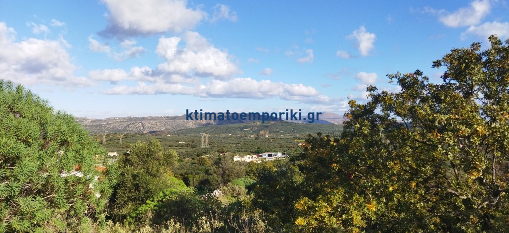 Αγροτεμάχια 17.684,29 τ.μ. προς πώληση, Νέο Χωριό Αρμενών