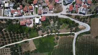 Οικόπεδο 2.000 τ.μ. προς πώληση, Αχαϊκό-thumb-13