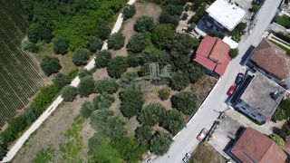 Οικόπεδο 2.000 τ.μ. προς πώληση, Αχαϊκό-thumb-2