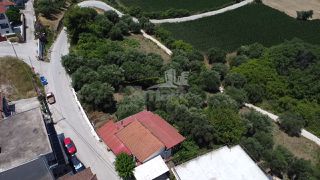 Οικόπεδο 2.000 τ.μ. προς πώληση, Αχαϊκό-thumb-4