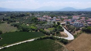 Οικόπεδο 2.000 τ.μ. προς πώληση, Αχαϊκό-thumb-8
