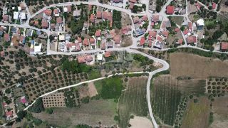 Οικόπεδο 2.000 τ.μ. προς πώληση, Αχαϊκό-thumb-19
