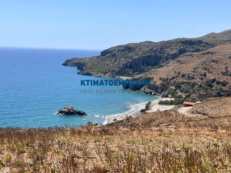 Οικόπεδο 40.000 τ.μ. για πώληση