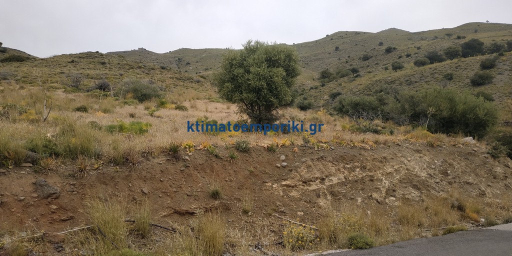 Οικόπεδο 40.000 τ.μ. πρός πώληση, Ν. Ρεθύμνου, Λάμπη