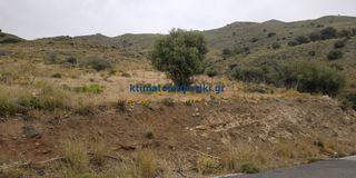 Οικόπεδο 40.000 τ.μ. πρός πώληση, Ν. Ρεθύμνου, Λάμπη-thumb-4