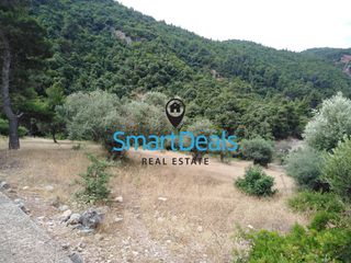 Οικόπεδο 4.000 τ.μ. προς πώληση, Ερινεός-thumb-1