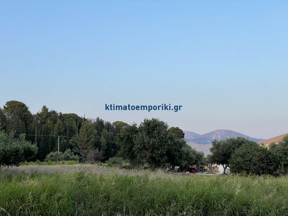 Οικόπεδο 4.283 τ.μ. για πώληση, Ν. Κεφαλονιάς, Κεφαλονιά