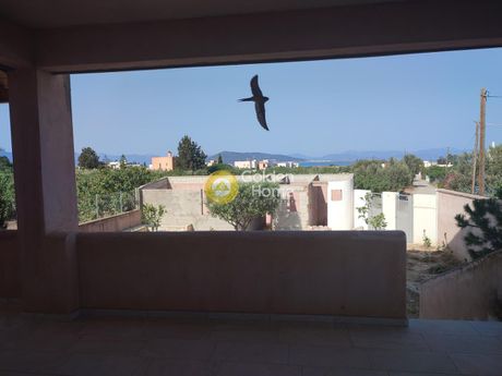 Detached home 294sqm for sale-Aegina » Livadi