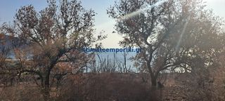 Οικόπεδο 9.600 τ.μ. για πώληση