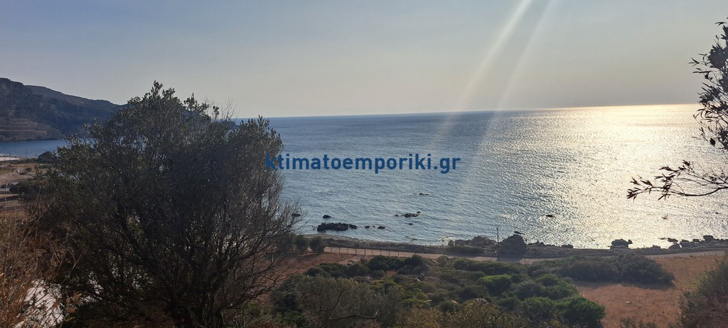 Οικόπεδο 9.600 τ.μ. προς πώληση, Σφηνάρι