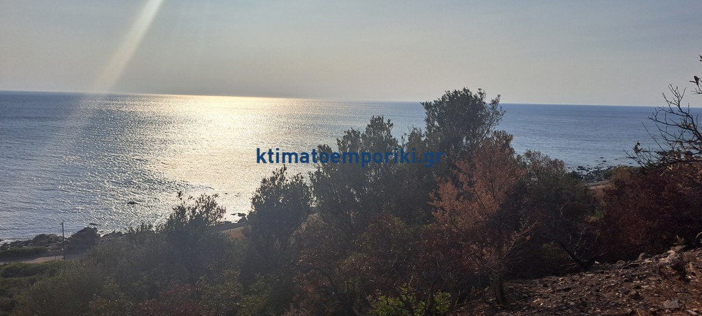 Οικόπεδο 9.600 τ.μ. προς πώληση, Σφηνάρι