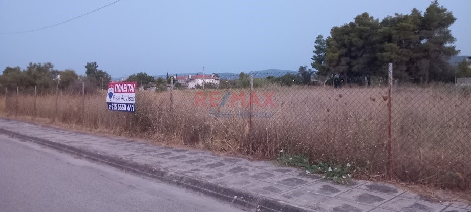 Οικόπεδο 1.100 τ.μ. προς πώληση, Άγιος Κωνσταντίνος Νέων Παλατίων
