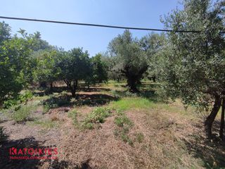 Οικόπεδο 5.556 τ.μ. για πώληση, Μεσσηνία, Θουρία-thumb-6