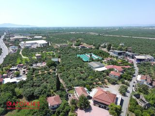 Οικόπεδο 5.556 τ.μ. για πώληση, Μεσσηνία, Θουρία-thumb-3