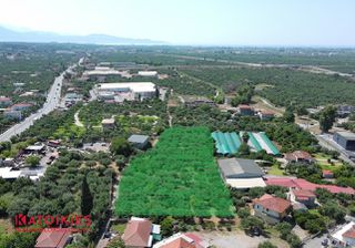 Οικόπεδο 5.556 τ.μ. για πώληση