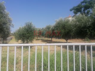 Οικόπεδο 820,85 τ.μ. πρός πώληση, Εύβοια, Μεσσαπία-thumb-1