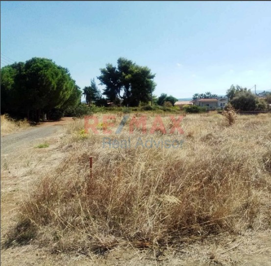 Οικόπεδο 1.045 τ.μ. προς πώληση, Σκάλα Ωρωπού