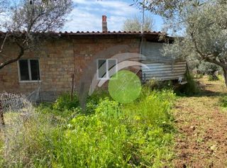 Οικόπεδο 1.071 τ.μ. για πώληση, Αχαΐα, Μεσσατίδα-thumb-6