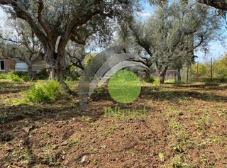 Οικόπεδο 1.071 τ.μ. για πώληση, Αχαΐα, Μεσσατίδα-thumb-7