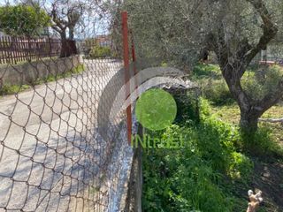 Οικόπεδο 1.071 τ.μ. για πώληση, Αχαΐα, Μεσσατίδα-thumb-5