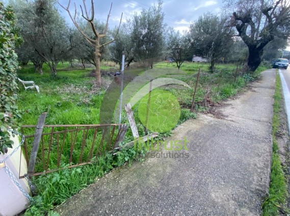 Αγροτεμάχια 650 τ.μ. πρός ενοικίαση, Αχαΐα, Μεσσατίδα