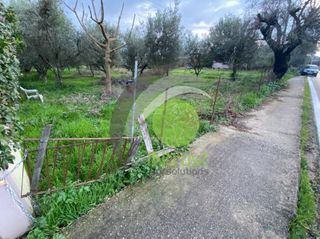 Αγροτεμάχια 650 τ.μ. για ενοικίαση, Αχαΐα, Μεσσατίδα-thumb-2