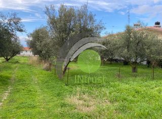 Αγροτεμάχια 650 τ.μ. για ενοικίαση, Αχαΐα, Μεσσατίδα-thumb-8
