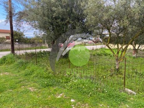Αγροτεμάχια 650τ.μ. για ενοικίαση-Μεσσατίδα