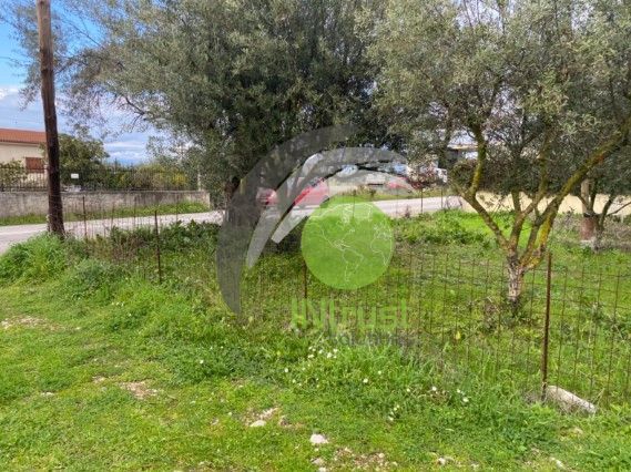 Αγροτεμάχια 650 τ.μ. για ενοικίαση, Αχαΐα, Μεσσατίδα